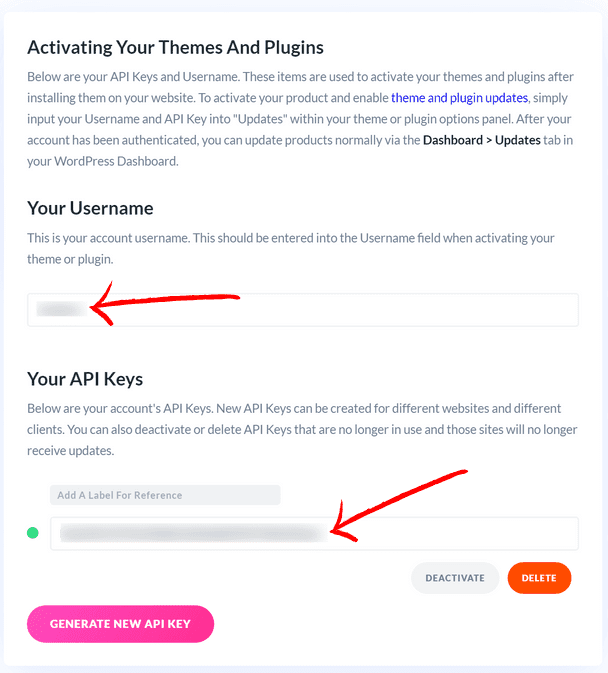 [Pic] 激活 Divi 使用憑證所需的兩份資料：Username 和 API Keys