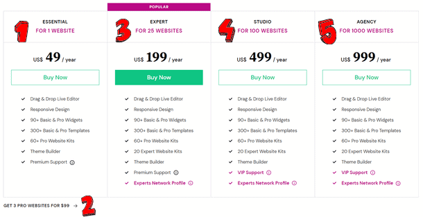 Elementor Pro 專業版方案